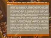 Finansinės jėgos 10 puslapis