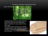 Technologijos 12 kl. egzaminas 6 puslapis