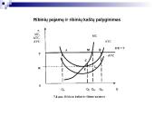 Firmos pelno maksimizavimas tobulosios konkurencijos rinkos atveju 7 puslapis