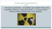 Radioaktyvumo reiškinys 15 puslapis