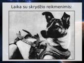 Kosmoso tyrimai 7 puslapis