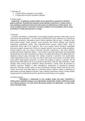 Atsakomybės temos nagrinėjimas 2 puslapis