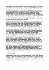 Sąžinės temos nagrinėjimas 3 puslapis