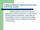 Paskolų rinkos plėtros problemos 13 puslapis