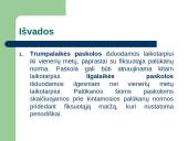 Paskolų rinkos plėtros problemos 19 puslapis