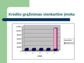 Paskolų rinkos plėtros problemos 7 puslapis
