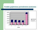 Paskolų rinkos plėtros problemos 8 puslapis