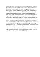 Kodėl svarbu atrasti savo pašaukimą?  2 puslapis