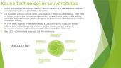 Lietuvos universitetai Kauno mieste 8 puslapis