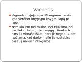 ,,Faustas” Johanas Volfgangas Gėtė 7 puslapis