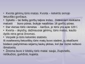 Senieji lietuviški matai praeityje ir dabartyje 13 puslapis