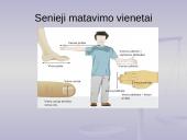 Senieji lietuviški matai praeityje ir dabartyje 7 puslapis