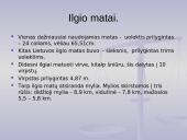 Senieji lietuviški matai praeityje ir dabartyje 8 puslapis