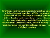 Transporto priemonės bei jų greitis įvairiais istoriniais laikotarpiais 5 puslapis