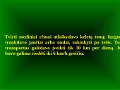 Transporto priemonės bei jų greitis įvairiais istoriniais laikotarpiais 9 puslapis