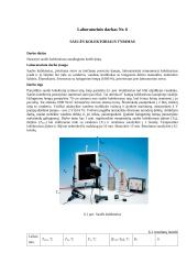 Labaratorinių darbų ataskaita  18 puslapis