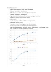 Labaratorinių darbų ataskaita  20 puslapis
