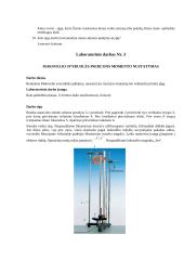 Labaratorinių darbų ataskaita  6 puslapis