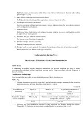 Labaratorinių darbų ataskaita  10 puslapis
