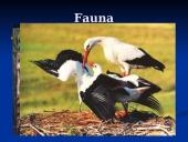 Žemaitija National Park 20 puslapis