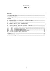 "Apple" įmonės finansinių rodiklių analizė 2 puslapis