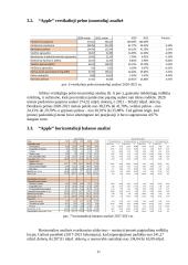 "Apple" įmonės finansinių rodiklių analizė 11 puslapis