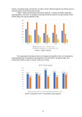 "Apple" įmonės finansinių rodiklių analizė 12 puslapis