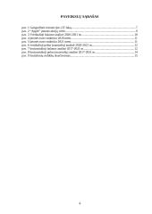 "Apple" įmonės finansinių rodiklių analizė 4 puslapis