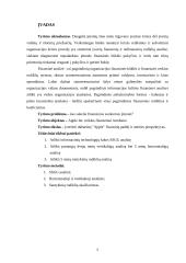 "Apple" įmonės finansinių rodiklių analizė 5 puslapis