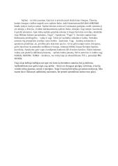 Sąžinė - žmogaus poelgių vertintoja 2 puslapis