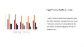 Apple finansinių rodiklių analizė 17 puslapis