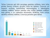 Saugaus elgesio principai artėjant pavojingam gamtiniam reiškiniui ir jo metu esant uždarose, atvirose vietovėse 3 puslapis
