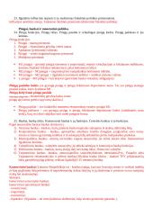 Makroekonomikos egzamino klausimai 7 puslapis