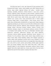 Antikariozinė mityba 4 puslapis