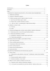 Tradicija nepasikeitė, pasikeitė gyvenimo forma: tradicijos įveiksminimas konstruojant šiandieninį baskišką identitetą  2 puslapis