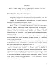 Tradicija nepasikeitė, pasikeitė gyvenimo forma: tradicijos įveiksminimas konstruojant šiandieninį baskišką identitetą  4 puslapis