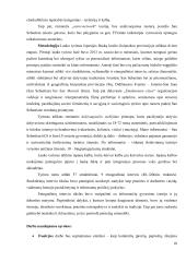Tradicija nepasikeitė, pasikeitė gyvenimo forma: tradicijos įveiksminimas konstruojant šiandieninį baskišką identitetą  9 puslapis