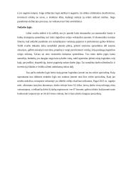 Girteka PEST 11 puslapis