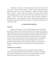 Girteka PEST 14 puslapis