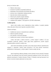 Girteka PEST 18 puslapis