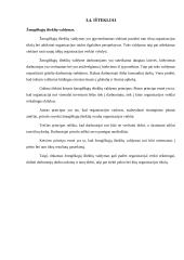 Girteka PEST 20 puslapis