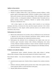 Girteka PEST 7 puslapis