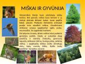 Apie Daniją 8 puslapis