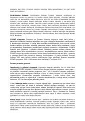 Asocijuotų Vidurio Europos šalių rengimo narystei Europos Sąjungoje strategija 2 puslapis