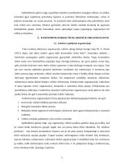 Individualizmas ir kolektyvizmas organizacijoje 3 puslapis