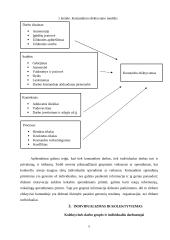 Individualizmas ir kolektyvizmas organizacijoje 5 puslapis