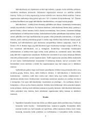 Individualizmas ir kolektyvizmas organizacijoje 6 puslapis
