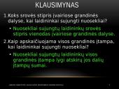 Nuosekliojo laidininkų jungimo tyrimo ataskaita 16 puslapis
