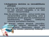 Administracinės teisės principai ir funkcijos 11 puslapis