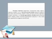 Administracinės teisės principai ir funkcijos 4 puslapis